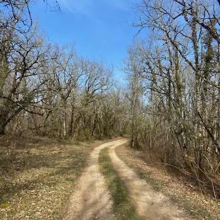 Maison De * Nadaillac