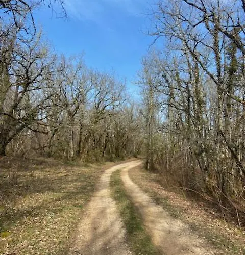 Maison De * Nadaillac